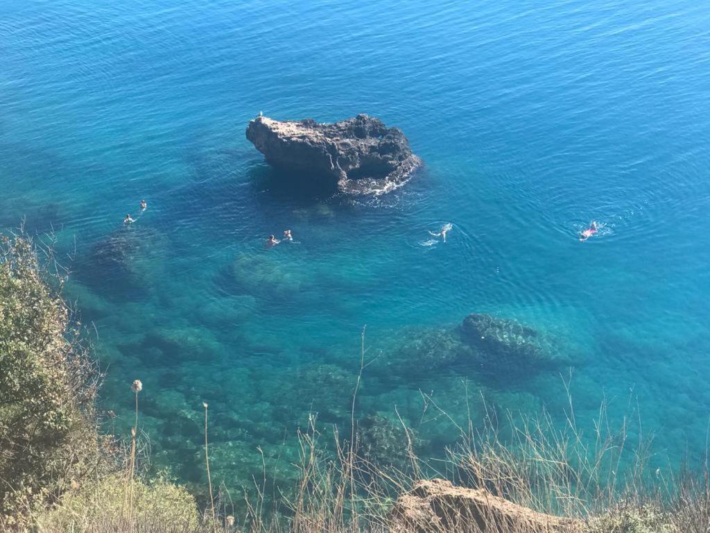 Sea Paradise Daire